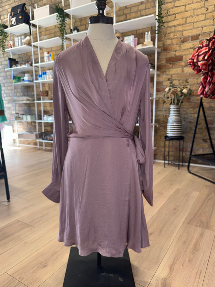 The Violet Dress